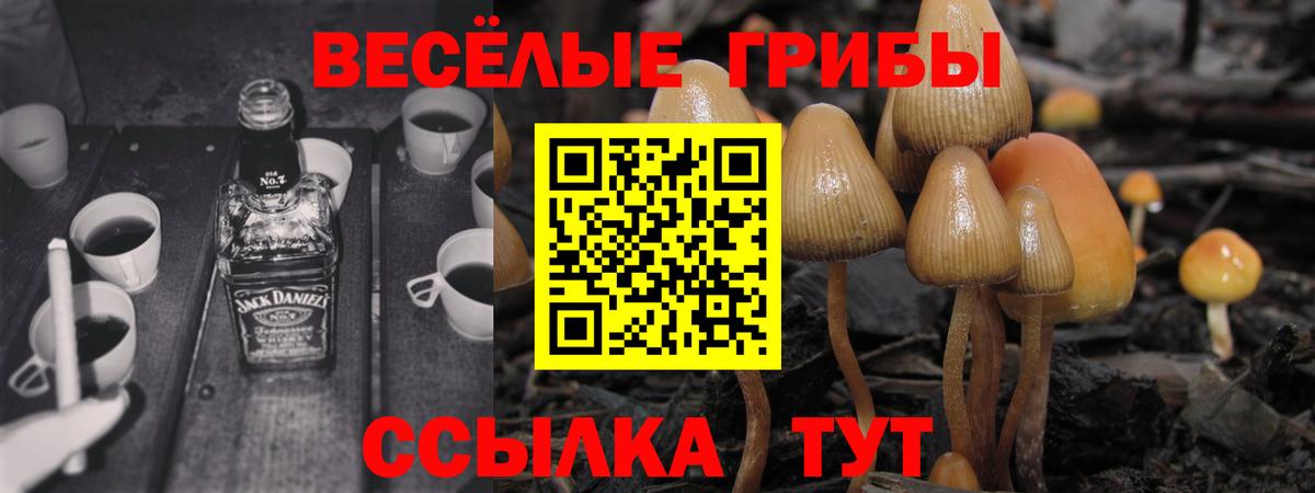 Каменск-Уральский  Галлюциногенные грибы Magic Shrooms  Вход с VPN 