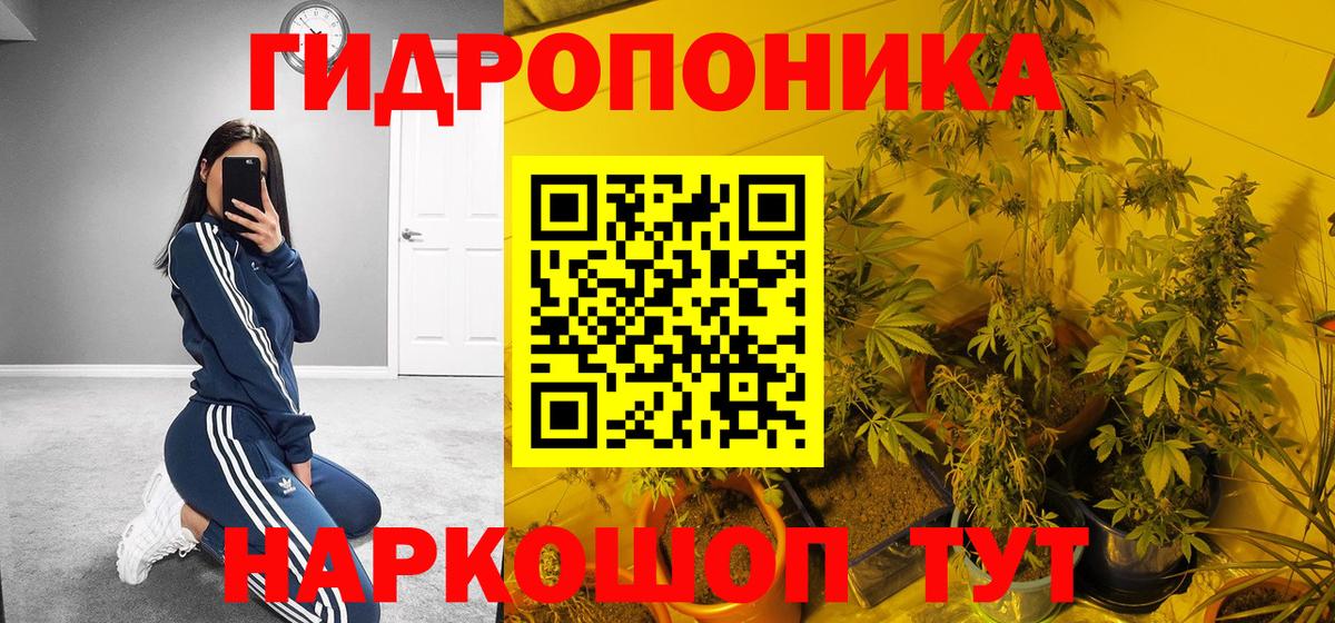 Гашиш  Канабис  Каменск-Уральский  А ПВП СОЛЬ кристаллы  Вход с VPN  Экстази  МЕФ кристаллы  МДМА 